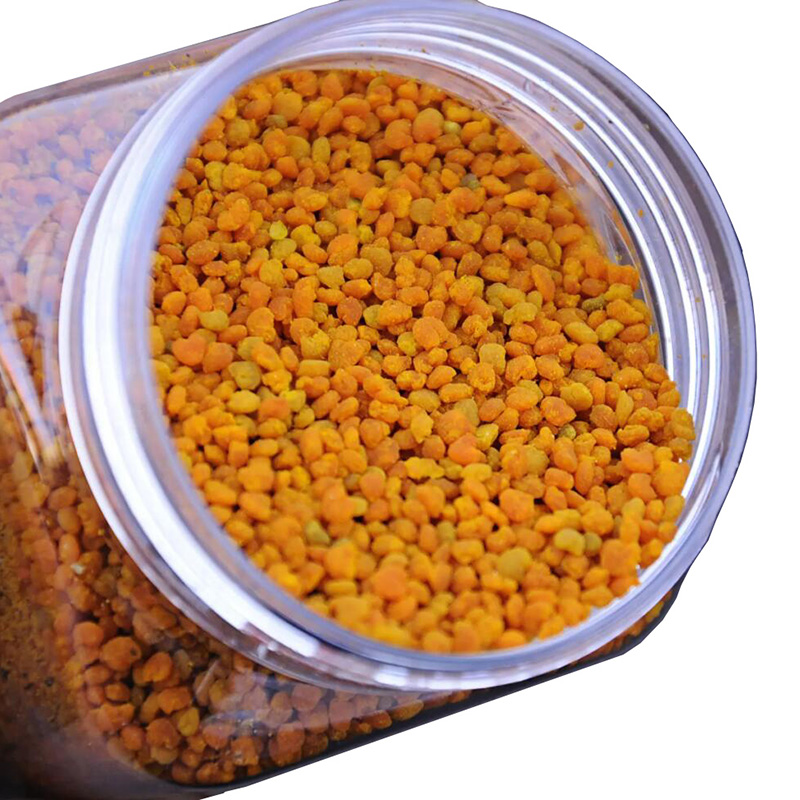 Camellia bee pollen