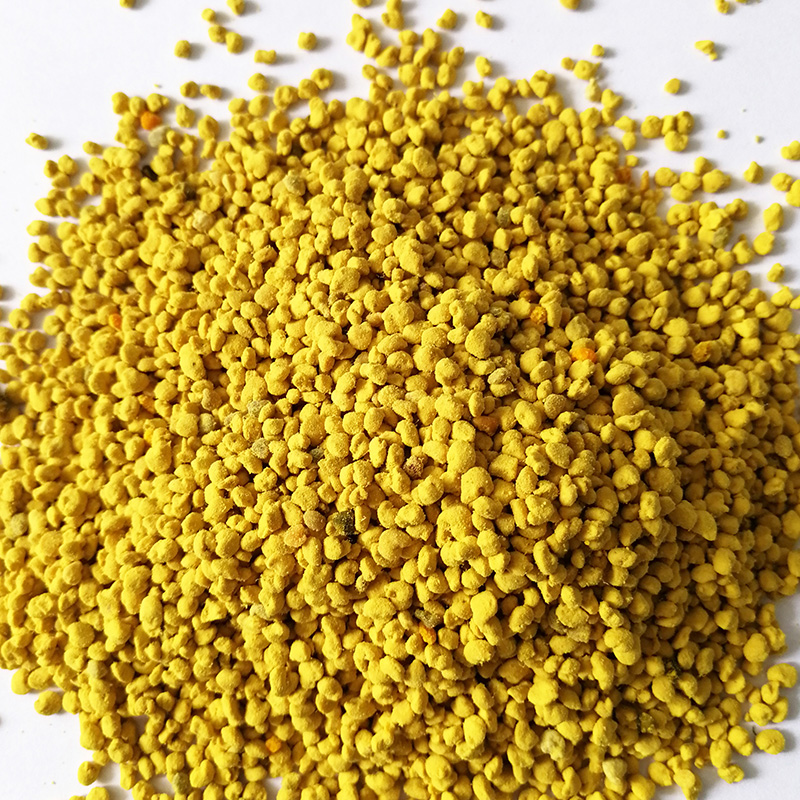 Canola bee pollen